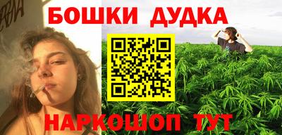 хмурый Бердск