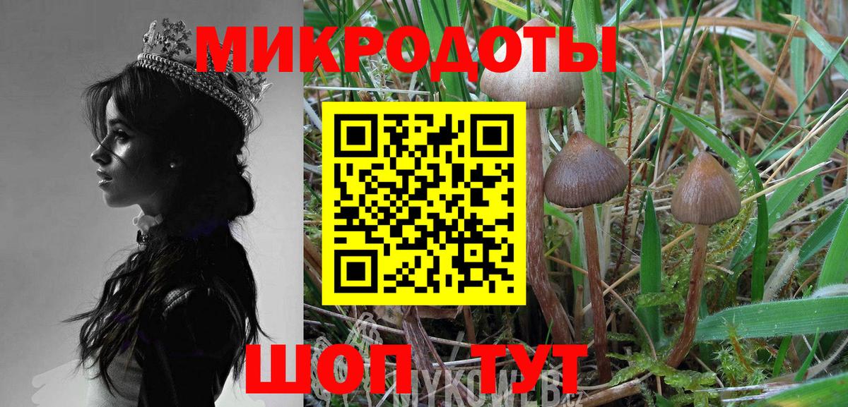 Галлюциногенные грибы прущие грибы Амурск