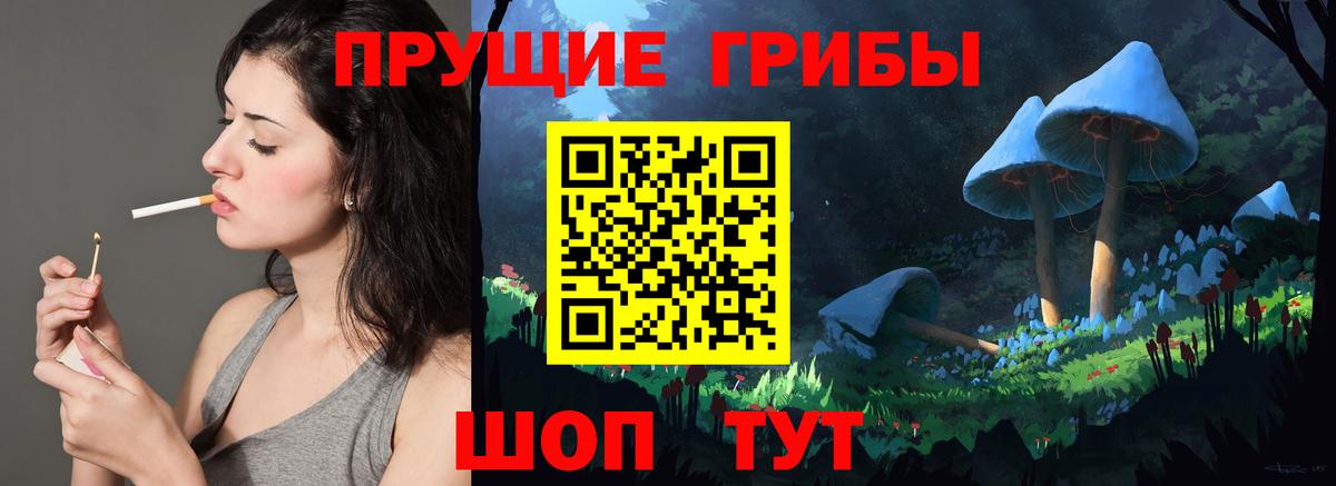 Амурск  где можно купить   Псилоцибиновые грибы мицелий  Вход с VPN  Галлюциногенные грибы Psilocybe 